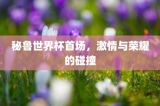 秘鲁世界杯首场，激情与荣耀的碰撞