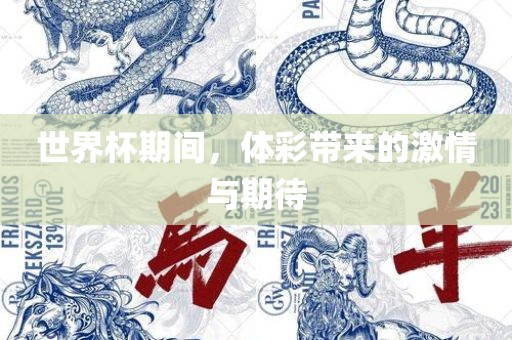 世界杯期间，体彩带来的激情与期待