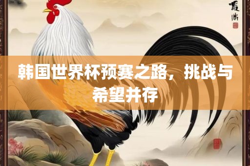 韩国世界杯预赛之路，挑战与希望并存