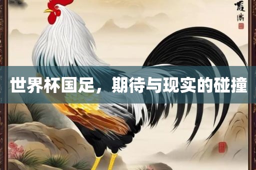 世界杯国足，期待与现实的碰撞