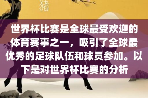 世界杯比赛是全球最受欢迎的体育赛事之一，吸引了全球最优秀的足球队伍和球员参加。以下是对世界杯比赛的分析