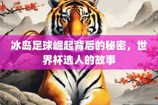 冰岛足球崛起背后的秘密，世界杯选人的故事