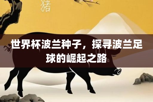 世界杯波兰种子，探寻波兰足球的崛起之路