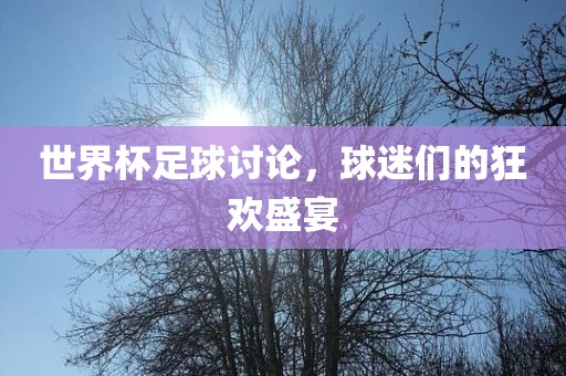 世界杯足球讨论，球迷们的狂欢盛宴漯河市盈旭机械设备有限公司