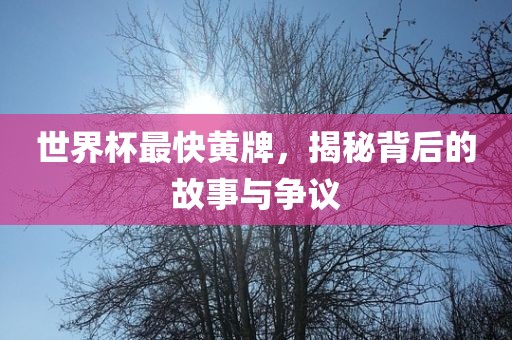 世界杯最快黄牌，揭秘背后的故事与争议