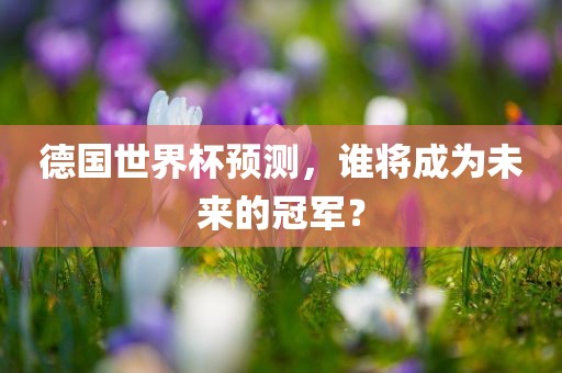 德国世界杯预测，谁将成为未来的冠军？漯河市盈旭机械设备有限公司