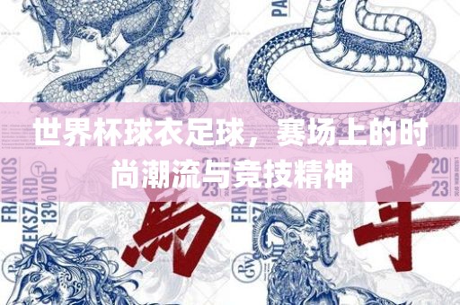世界杯球衣足球，赛场上的时尚潮流与竞技精神