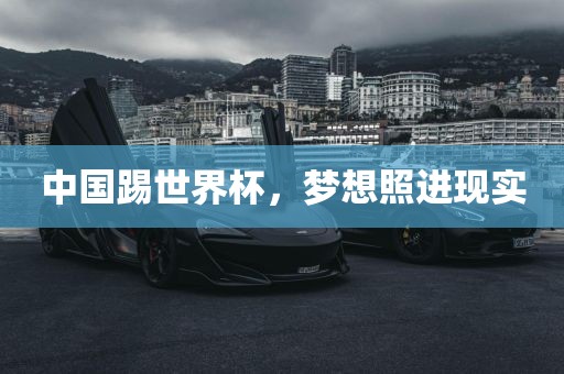 中国踢世界杯，梦想照进现实