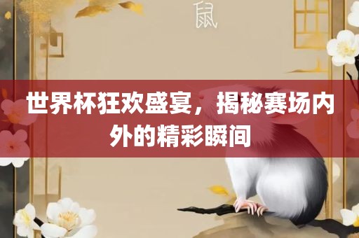 世界杯狂欢盛宴，揭秘赛场内外的精彩瞬间