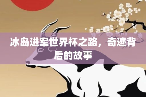 冰岛进军世界杯之路，奇迹背后的故事