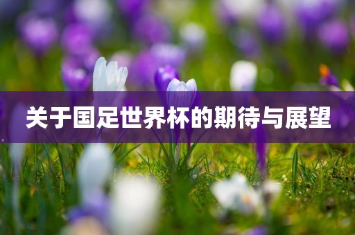 关于国足世界杯的期待与展望漯河市盈旭机械设备有限公司