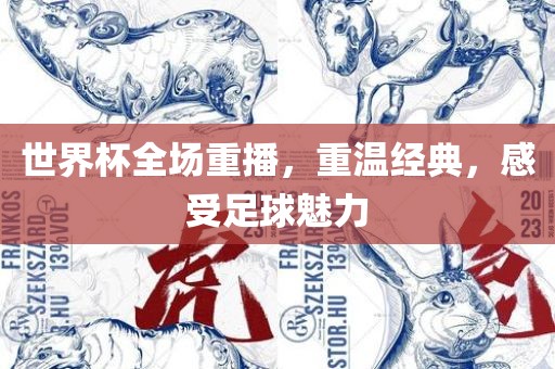 世界杯全场重播，重温经典，感受足球魅力