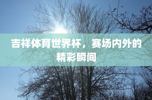 吉祥体育世界杯，赛场内外的精彩瞬间