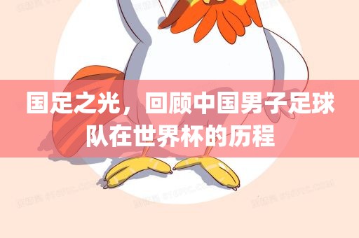 国足之光，回顾中国男子足球队在世界杯的历程
