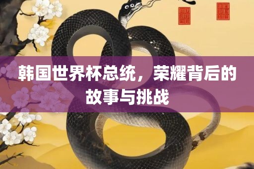 韩国世界杯总统，荣耀背后的故事与挑战漯河市盈旭机械设备有限公司