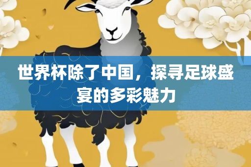 世界杯除了中国，探寻足球盛宴的多彩魅力漯河市盈旭机械设备有限公司