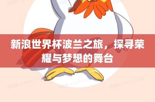 新浪世界杯波兰之旅，探寻荣耀与梦想的舞台