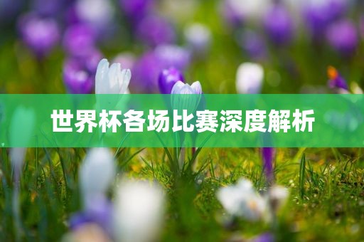 zhangzhiqiang 第2页