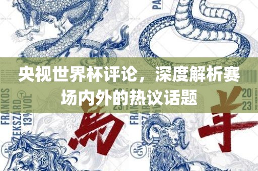 央视世界杯评论，深度解析赛场内外的热议话题漯河市盈旭机械设备有限公司
