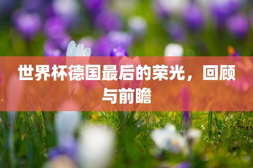 世界杯德国最后的荣光，回顾与前瞻
