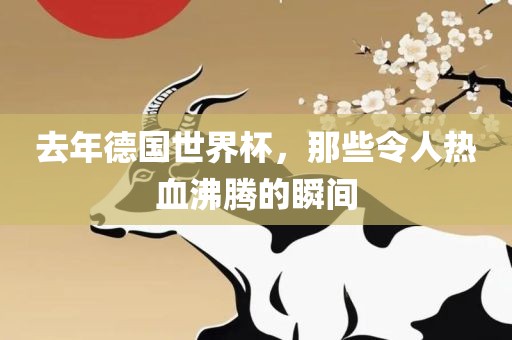 去年德国世界杯，那些令人热血沸腾的瞬间