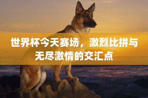 judong 第2页