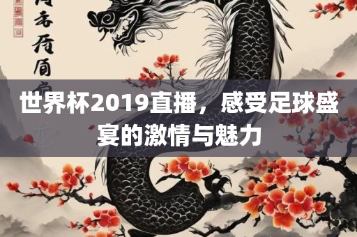 世界杯2019直播，感受足球盛宴的激情与魅力漯河市盈旭机械设备有限公司