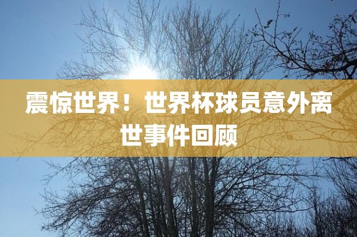 震惊世界！世界杯球员意外离世事件回顾