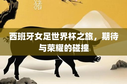 西班牙女足世界杯之旅，期待与荣耀的碰撞