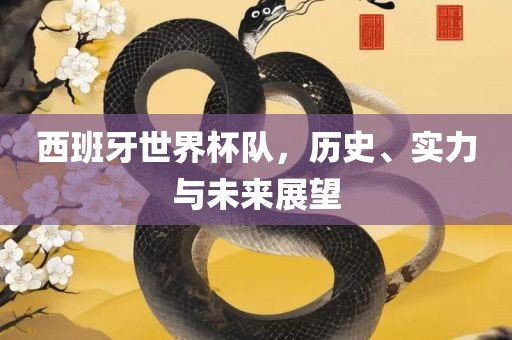 西班牙世界杯队，历史、实力与未来展望