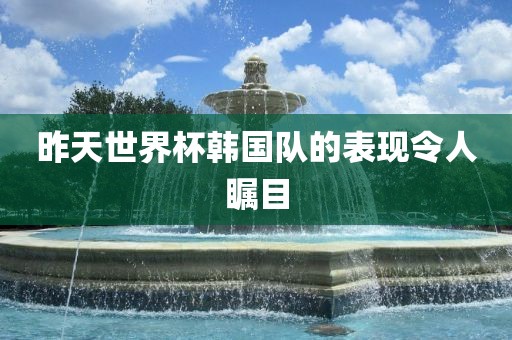 昨天世界杯韩国队的表现令人瞩目