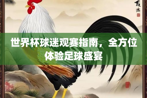 世界杯球迷观赛指南，全方位体验足球盛宴