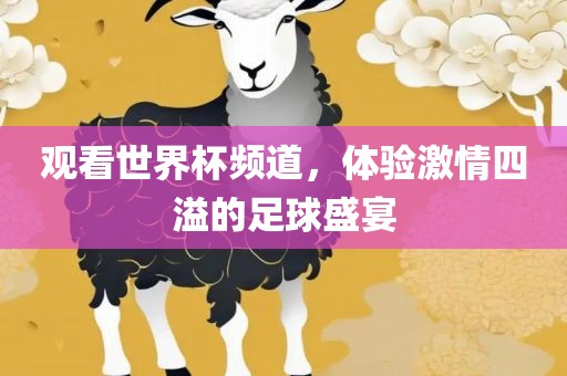 足球盛宴 第2页