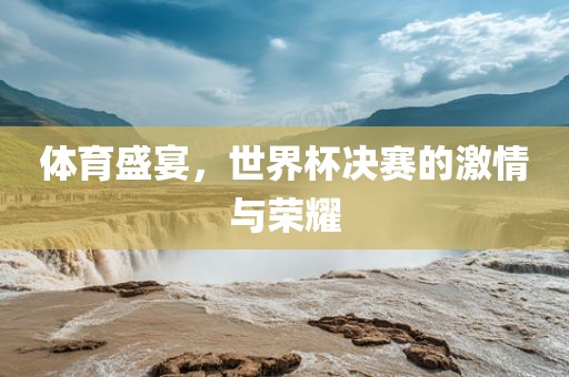 体育盛宴，世界杯决赛的激情与荣耀