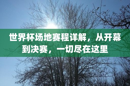世界杯场地赛程详解，从开幕到决赛，一切尽在这里漯河市盈旭机械设备有限公司