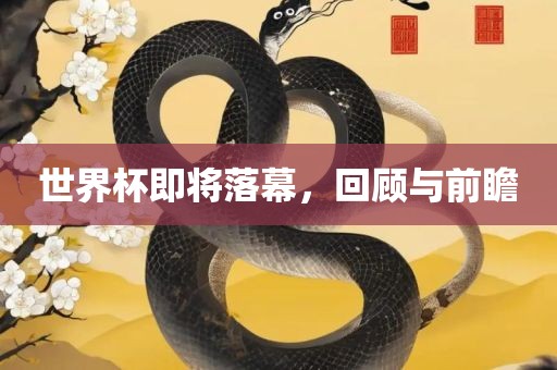 世界杯即将落幕，回顾与前瞻