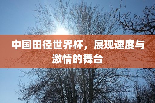 中国田径世界杯，展现速度与激情的舞台