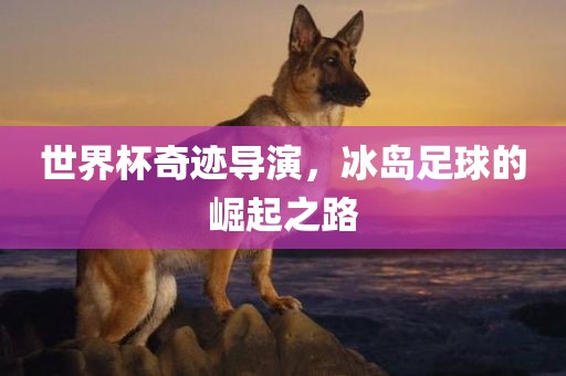 世界杯奇迹导演，冰岛足球的崛起之路