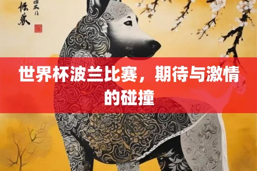 世界杯波兰比赛，期待与激情的碰撞