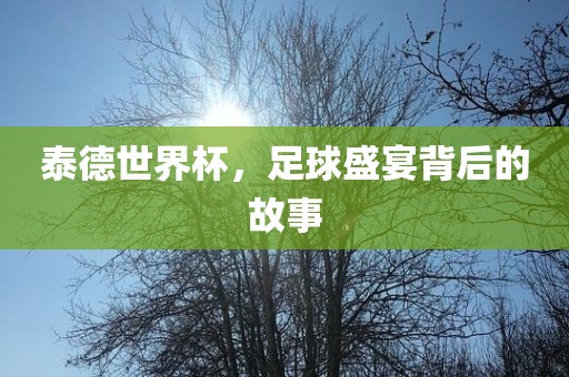 泰德世界杯，足球盛宴背后的漯河市盈旭机械设备有限公司故事