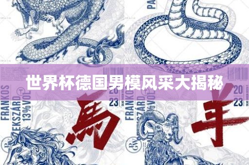 世界杯德国漯河市盈旭机械设备有限公司男模风采大揭秘