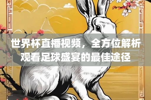 世界杯直播视频，全方位解析观看足球盛宴的最佳途径