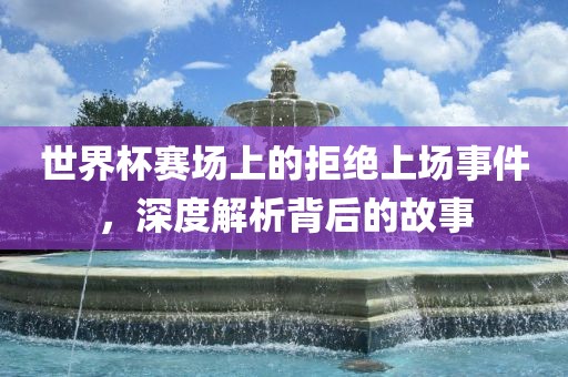 世界杯赛场上的拒绝上场事件，深度解析背后的故事