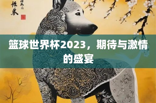 篮球世界杯2023，期待与激情的盛宴