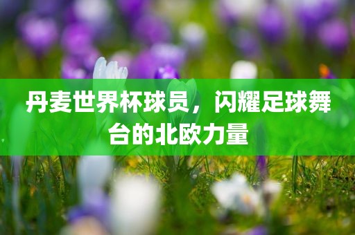 linzizhu 第2页