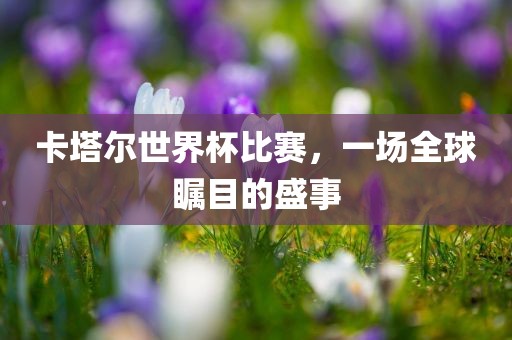 卡塔尔世界杯比赛，一场全球瞩目的盛事