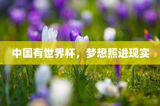 中国有世界杯，梦想照进现实