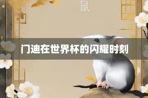 门迪在世界杯的闪耀时刻
