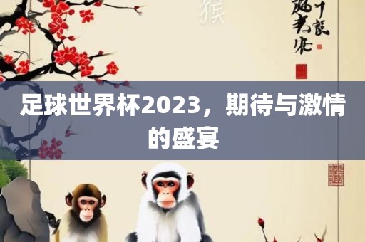 足球世界杯2023，期待与激情的盛宴
