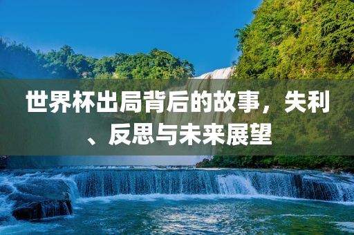 世界杯出局背后的故事，失利、反思与未来展望